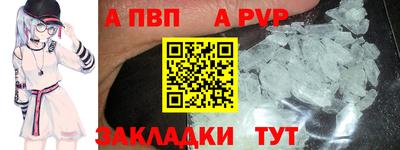 ECSTASY Кингисепп