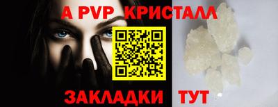 ECSTASY Кингисепп
