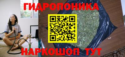 ECSTASY Кингисепп