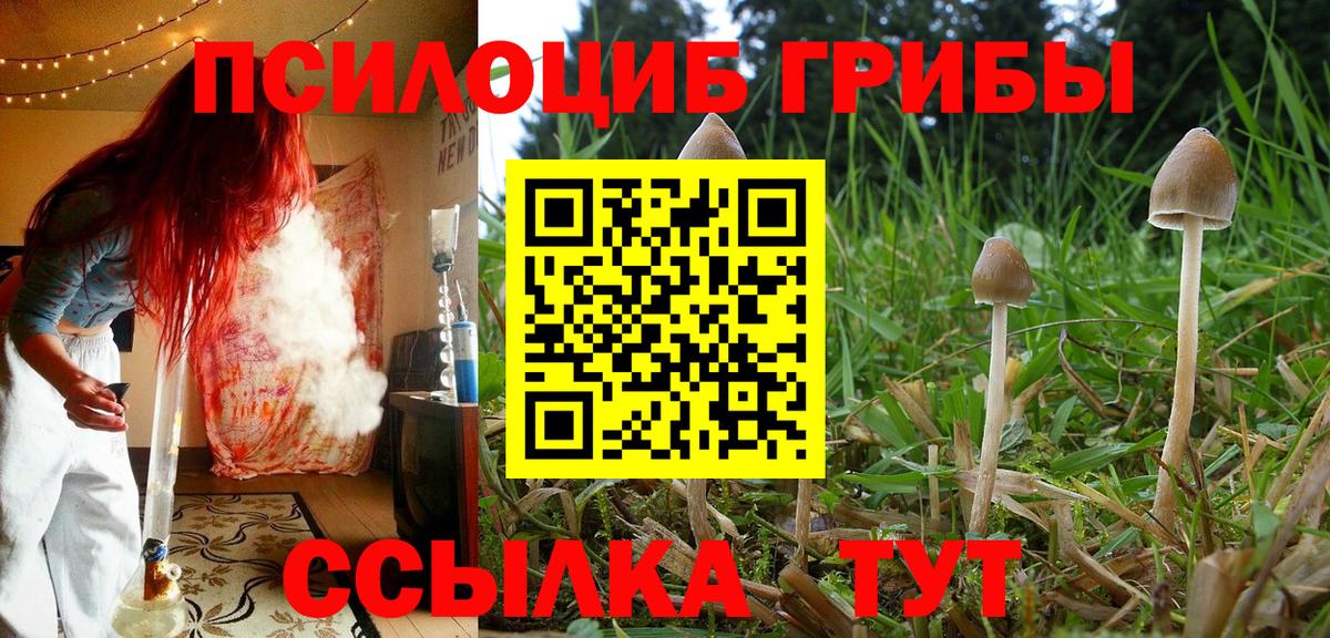 Псилоцибиновые грибы MAGIC MUSHROOMS Краснознаменск