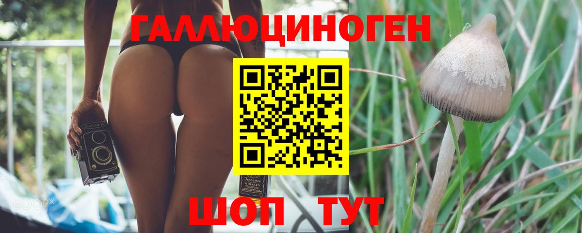 Краснознаменск  Галлюциногенные грибы прущие грибы  Вход с VPN  Псилоцибиновые грибы мицелий 